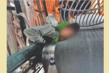 Worker dies in power plant