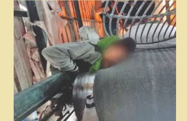 Worker dies in power plant