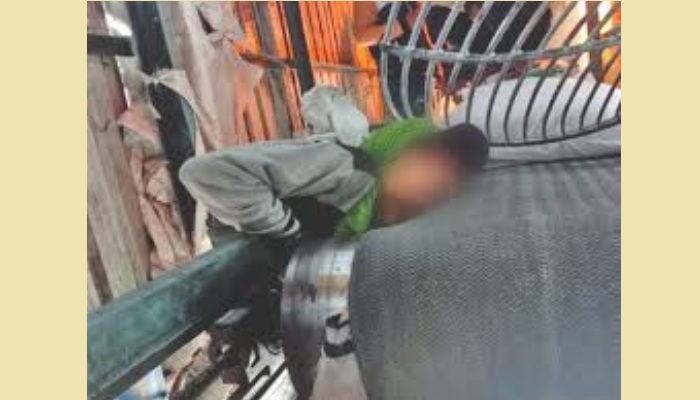 Worker dies in power plant