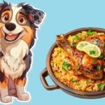 Animal Friendly City: