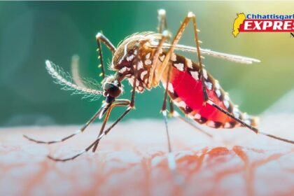 Malaria Free Campaign Chhattisgarh