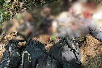 Terrorists Killed in Srinagar Encounter