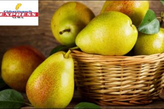 When immunity starts to waver in the rain