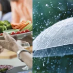 Monsoon Food Safety
