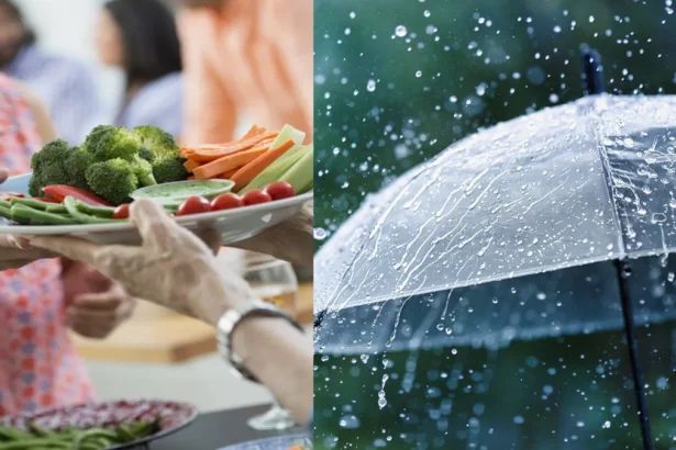 Monsoon Food Safety