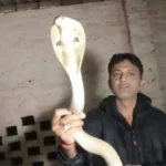 Vaishali Snake Bite Viral Video