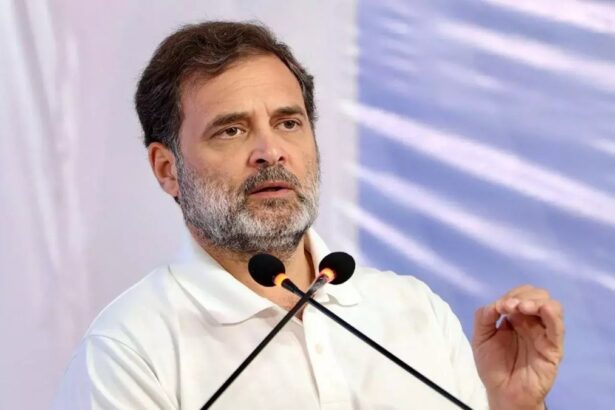 EC Statement On Rahul Gandhi Statement