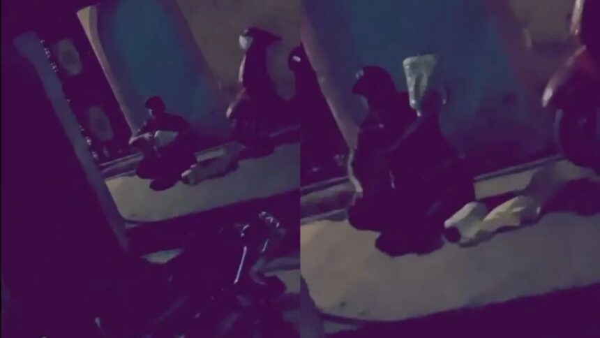 Nag Nagin Left At The Neighbor's House