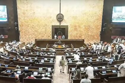 Vice Presidential Election