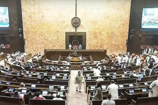 Vice Presidential Election