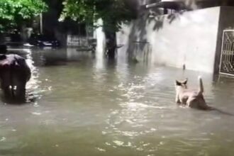 Waterlogging Due Rain in Durg