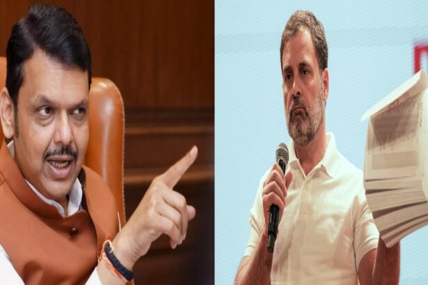 Devendra Fadnavis On Rahul Gandhi