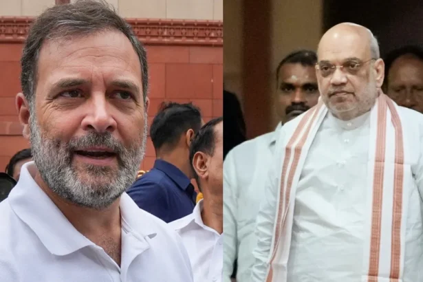 Rahul Gandhi Gets Bail