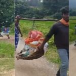 Chhattisgarh Health System