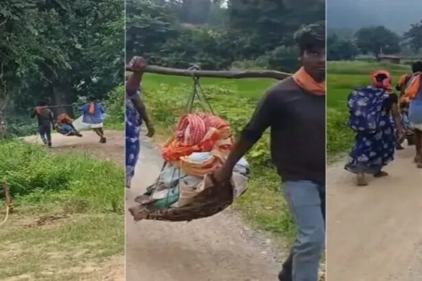 Chhattisgarh Health System