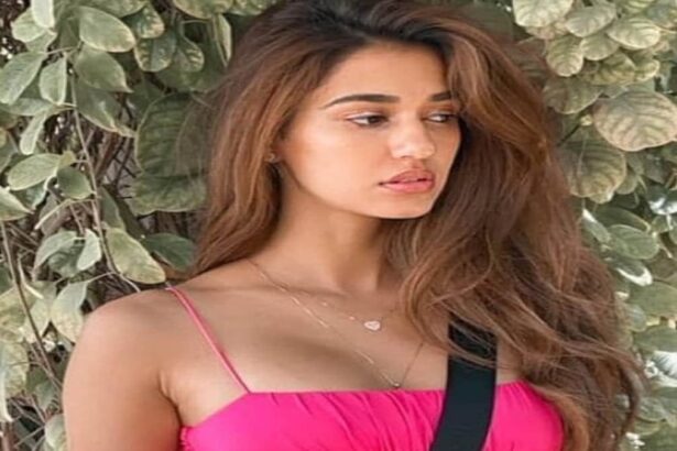 Disha Patani Father House Firing