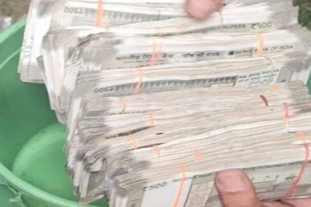 Janjgir-Champa Loot Case