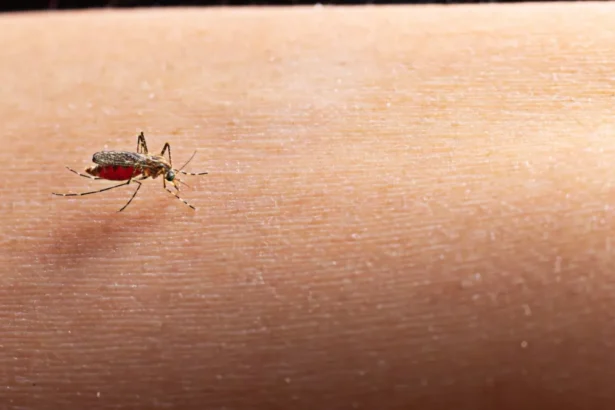 Dengue Cases in India